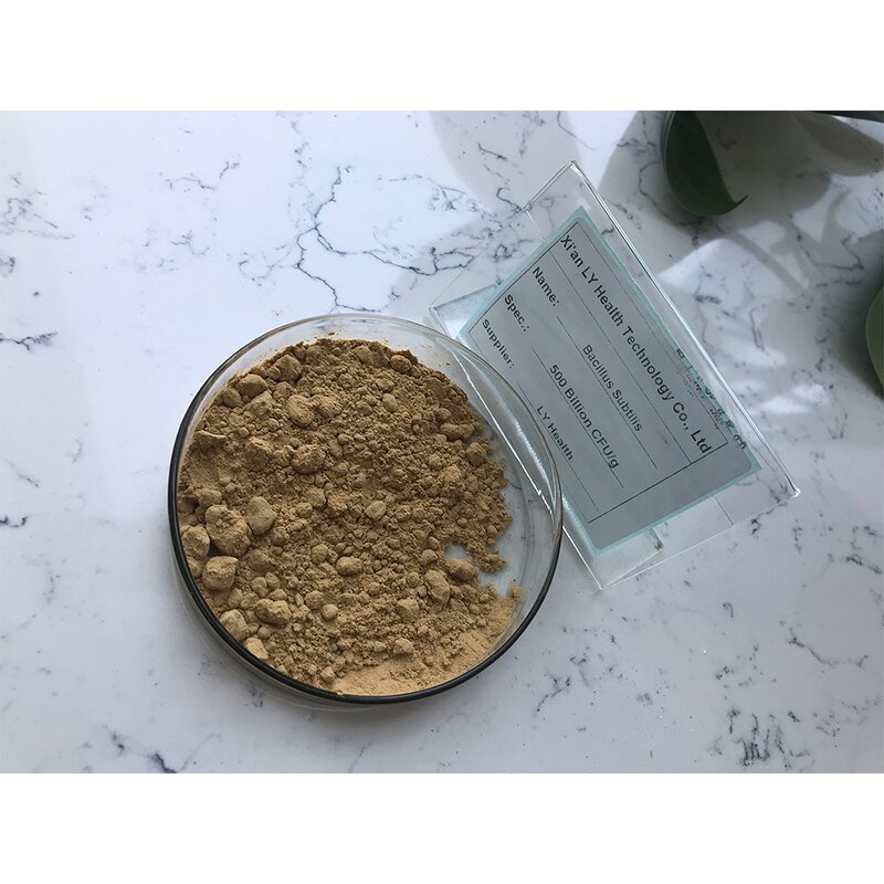 Bacillus Subtilis - Manufacturer - Top Quality Water Treatment Material