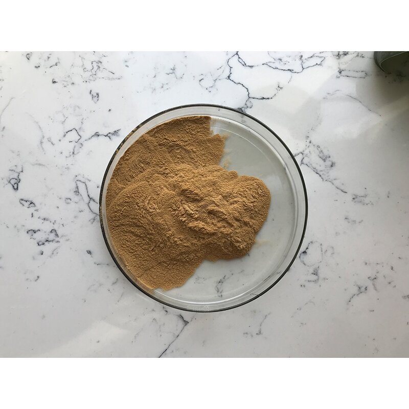 Horsetail Grass Extract - Manufacturer - Equisetum Arvense Pure Bulk Price