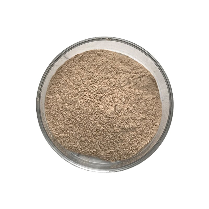 Bacillus Coagulans - Manufacturer - Top Quality Probiotic Bacteria Powder