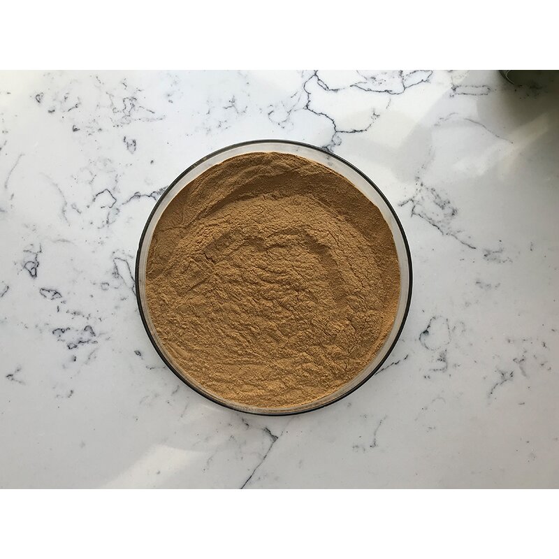 Horsetail Grass Extract - Manufacturer - Equisetum Arvense Pure Bulk Price