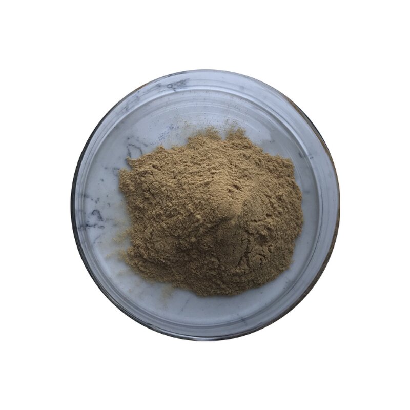 Ginseng Extract - Manufacturer - Red Korean Root Extract High Quality