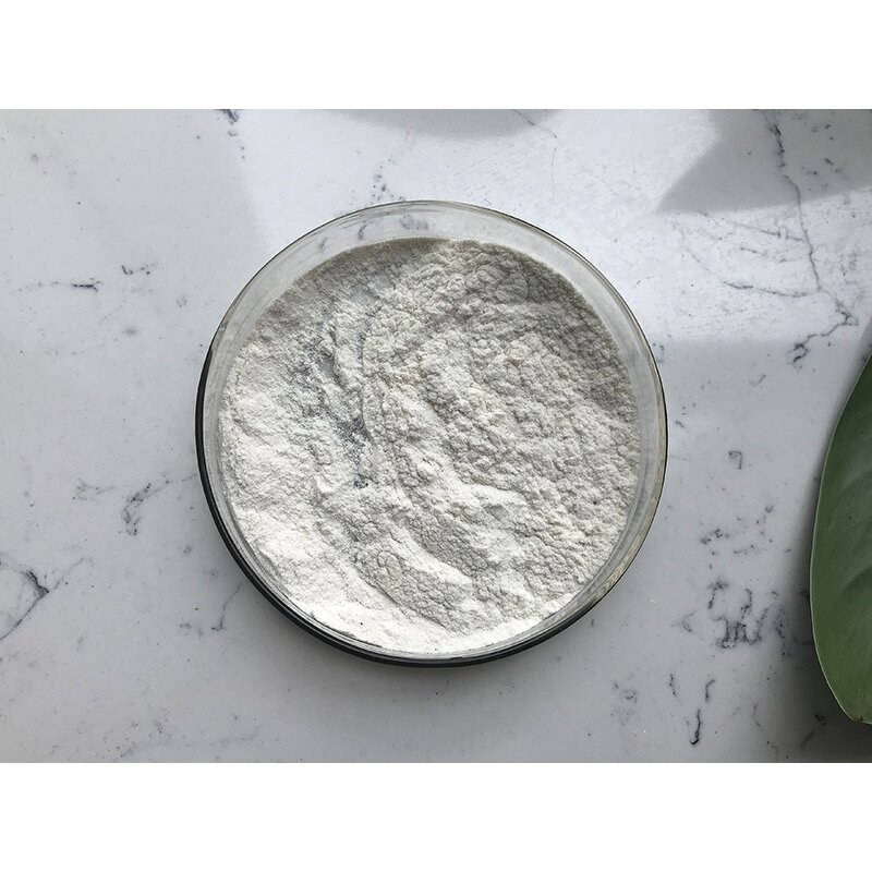 Chitin - Manufacturer - Good Quality Pure Natural Bulk Supply