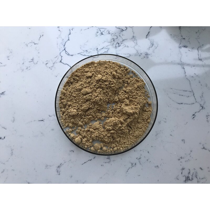 Bacillus Amyloliquefaciens - Manufacturer - Feed Grade Pure Powder Bulk