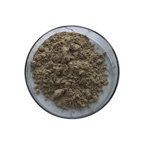 Bacillus Thuringiensis - Manufacturer - Top Quality Pure Bacteria Powder