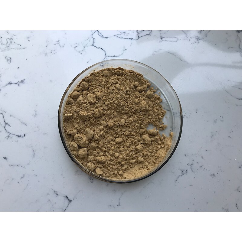 Bacillus Subtilis - Manufacturer - Top Quality Water Treatment Material