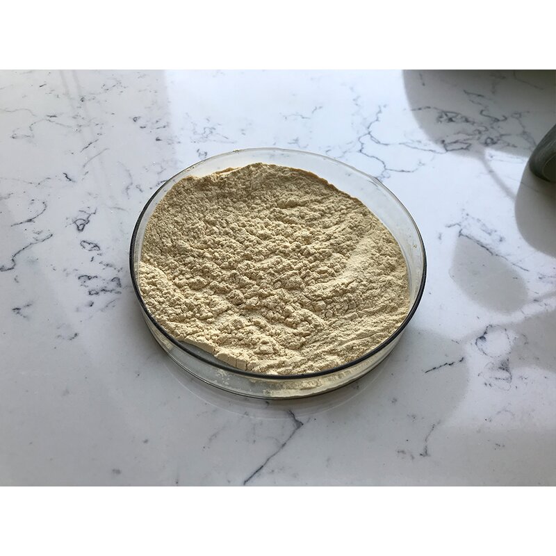 Monk Fruit Extract - Manufacturer - Luo Han Guo Organic Sweetener Bulk