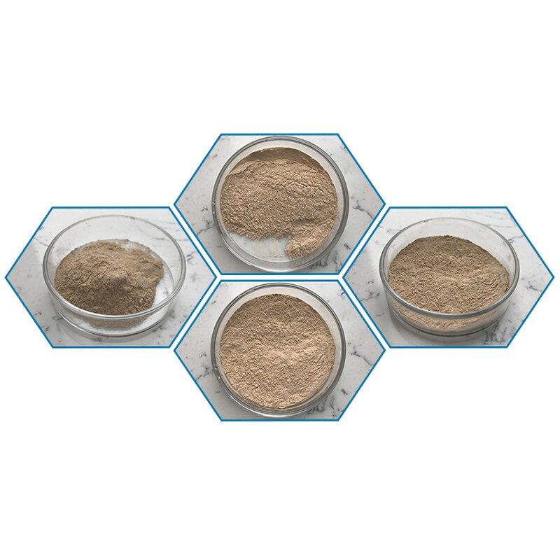 Bacillus Coagulans - Manufacturer - Top Quality Probiotic Bacteria Powder