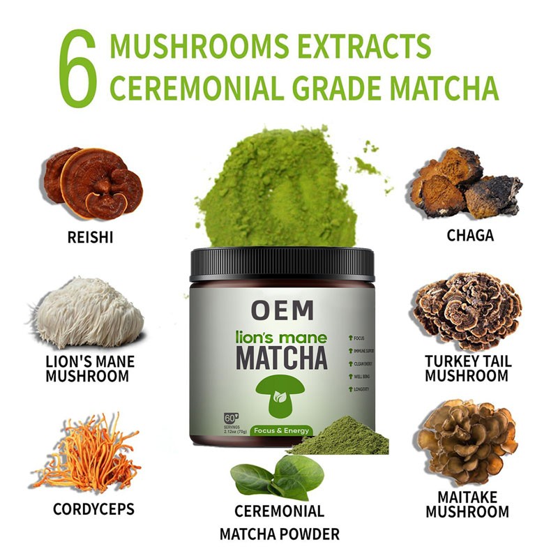 Organic Reishi Spore Powder Manufacturer - Private Label Coffee Matcha
