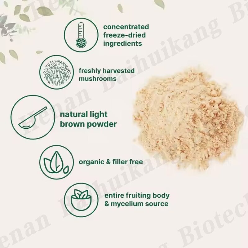 Lion's Mane Powder Manufacturer - Original Focus Blend for Immunity