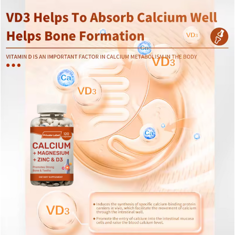 Calcium Capsule Manufacturer - Hot Sale with Vitamin D for Bones & Muscles