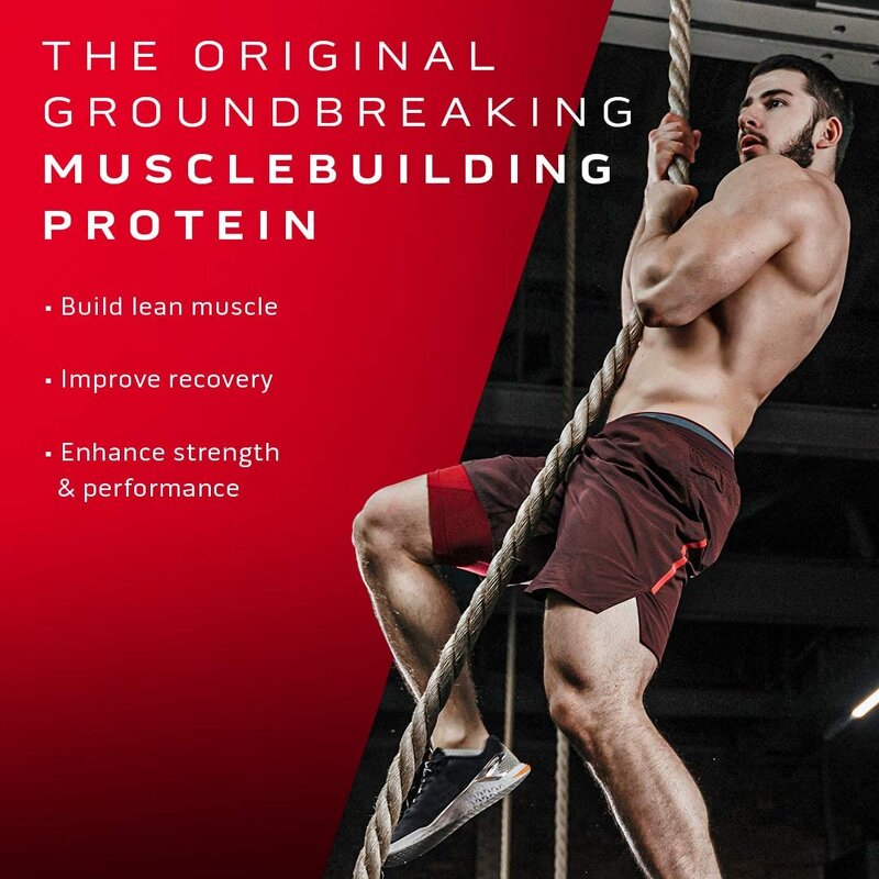 Whey Protein Powder Manufacturer - Hot Sale Body Fortress Super Advanced