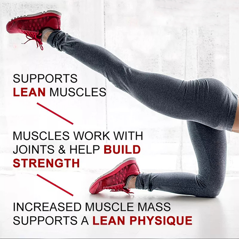 Whey Protein Powder Manufacturer - Hot Sale Body Fortress Super Advanced