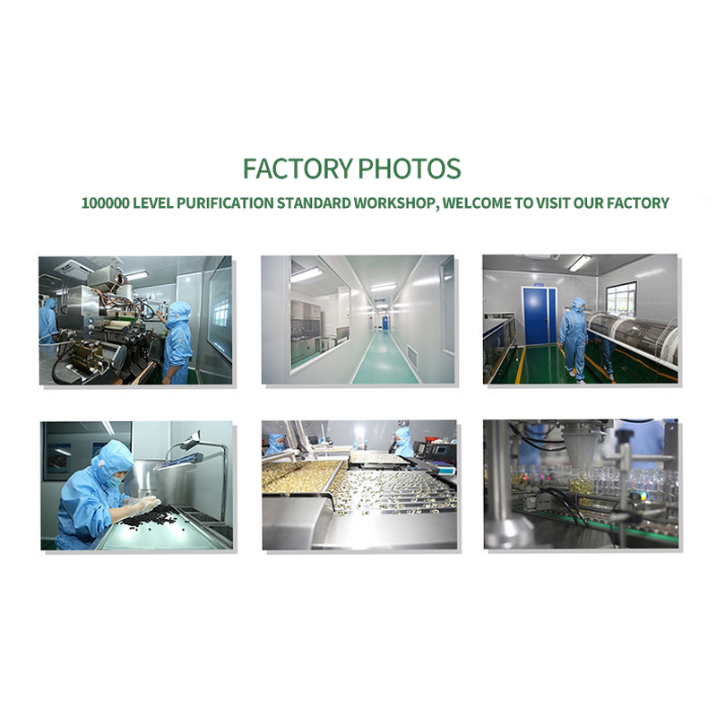 Oregano Oil Softgel Capsules Manufacturer - Organic Extract with Black Seed Oil