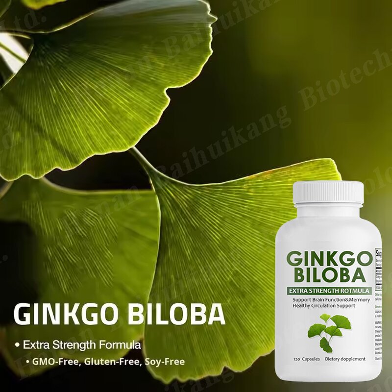 Ginkgo Biloba Capsules Manufacturer - High Quality Extract for Memory & Brain