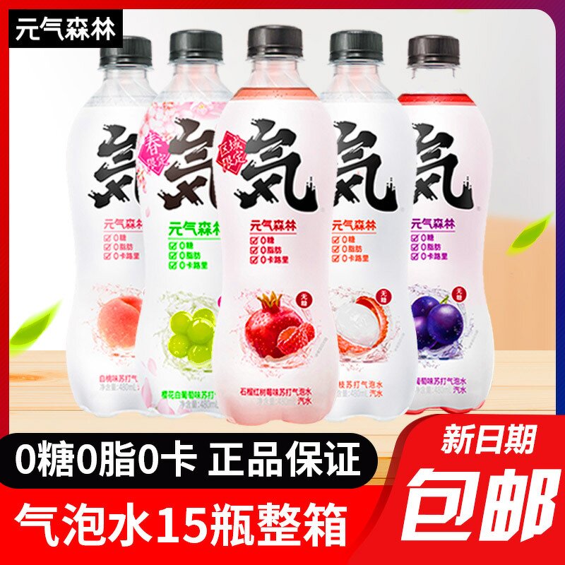 Sparkling Water - Manufacturer - Vitality Forest 480mL Low-Fat Zero Sugar Chocolate Coffee