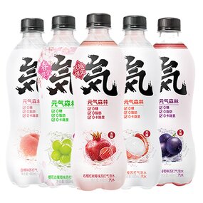 Sparkling Water - Manufacturer - Vitality Forest 480mL Low-Fat Zero Sugar Chocolate Coffee