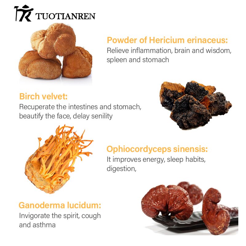 Mushroom Coffee - Manufacturer - Garcinia Cambogia Cream Flavor Immunity Focus Instant