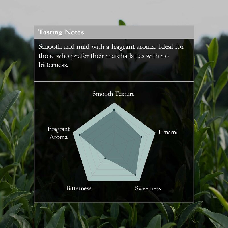 Matcha Powder - Manufacturer - Organic Ceremonial First Spring Japanese First Harvest Bulk