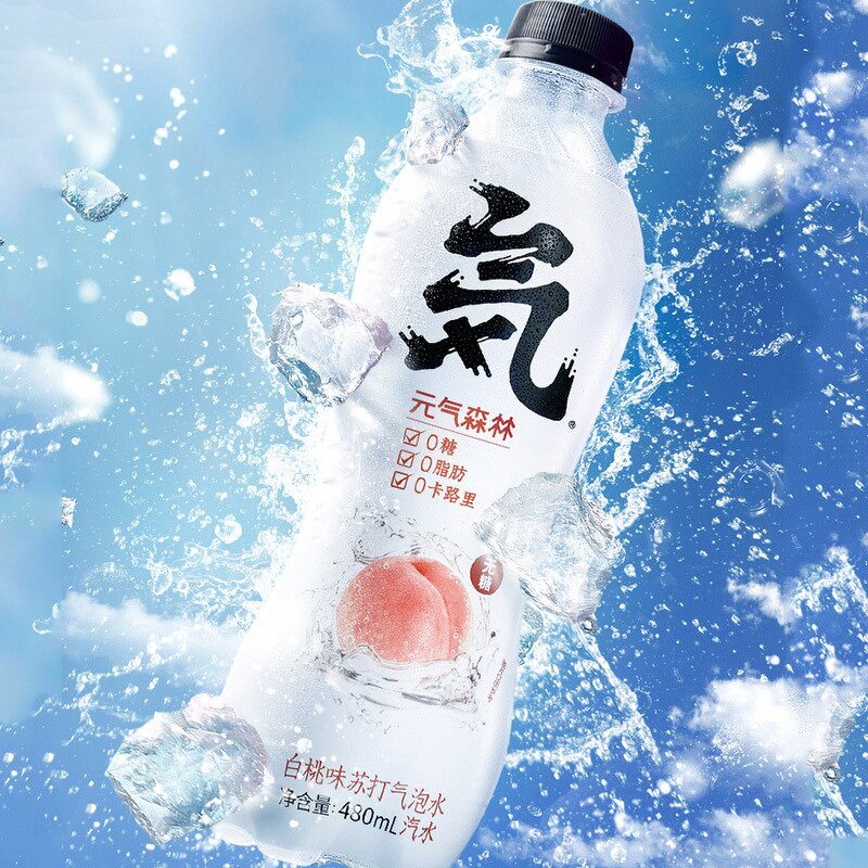 Sparkling Water - Manufacturer - Vitality Forest 480mL Low-Fat Zero Sugar Chocolate Coffee