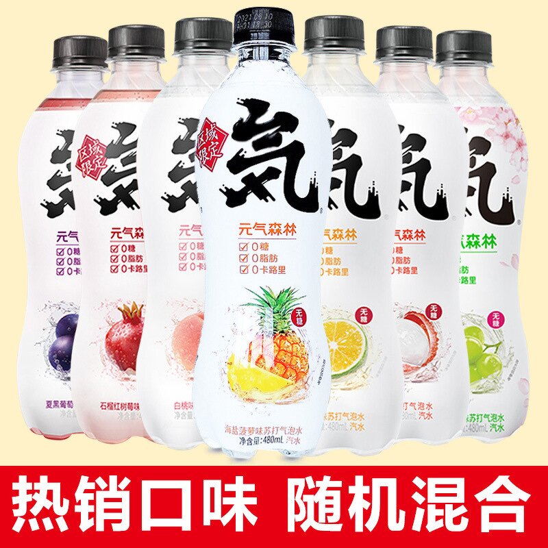 Sparkling Water - Manufacturer - Vitality Forest 480mL Low-Fat Zero Sugar Chocolate Coffee