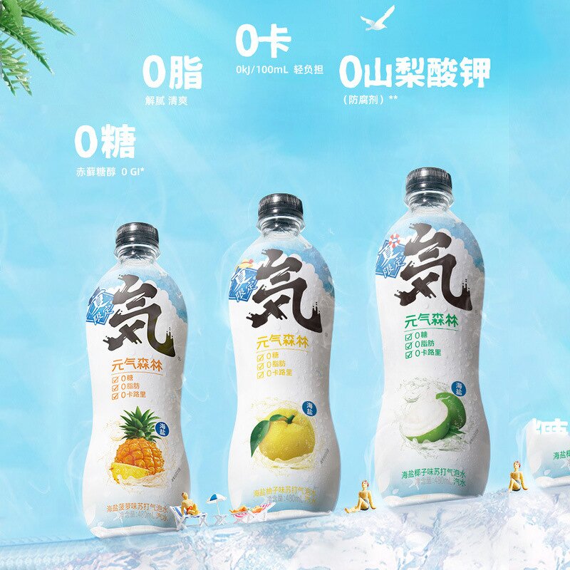 Sparkling Water - Manufacturer - Vitality Forest 480mL Low-Fat Zero Sugar Chocolate Coffee