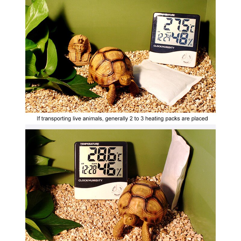 Pet Heat Pack Manufacturer - Wholesale Disposable, 40/72/110 Hours for Animals