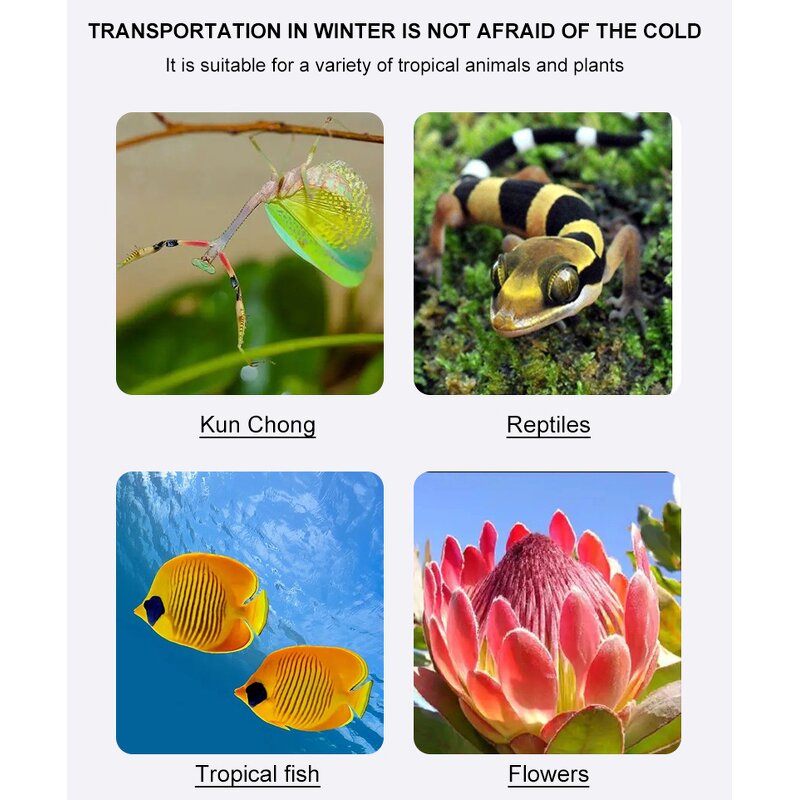 Pet Heat Pack Manufacturer - Wholesale Disposable, 40/72/110 Hours for Animals