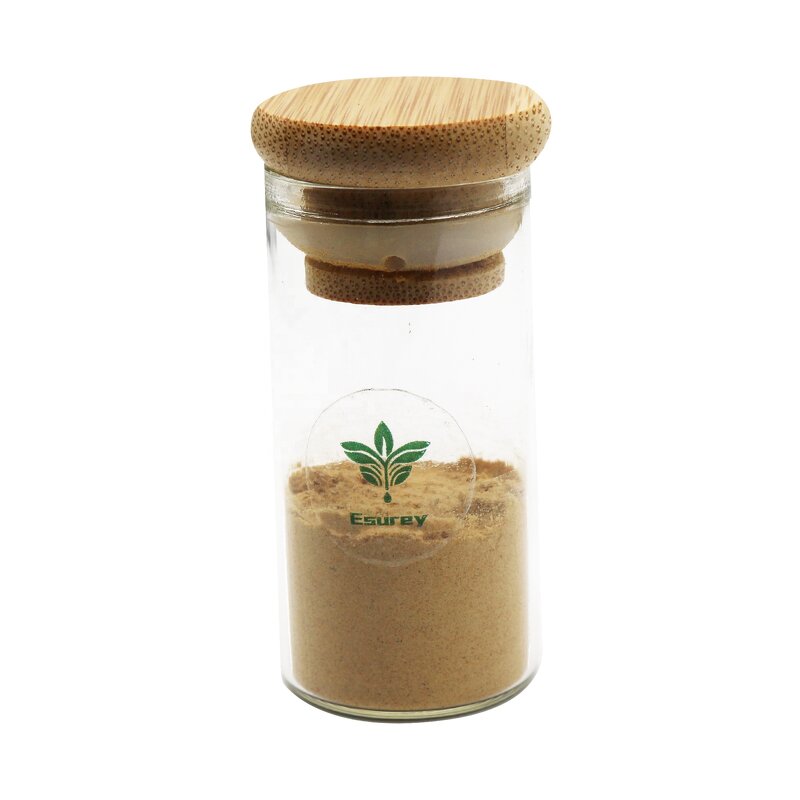 Rosehip Extract Powder Manufacturer - 20:1 Bulk Price