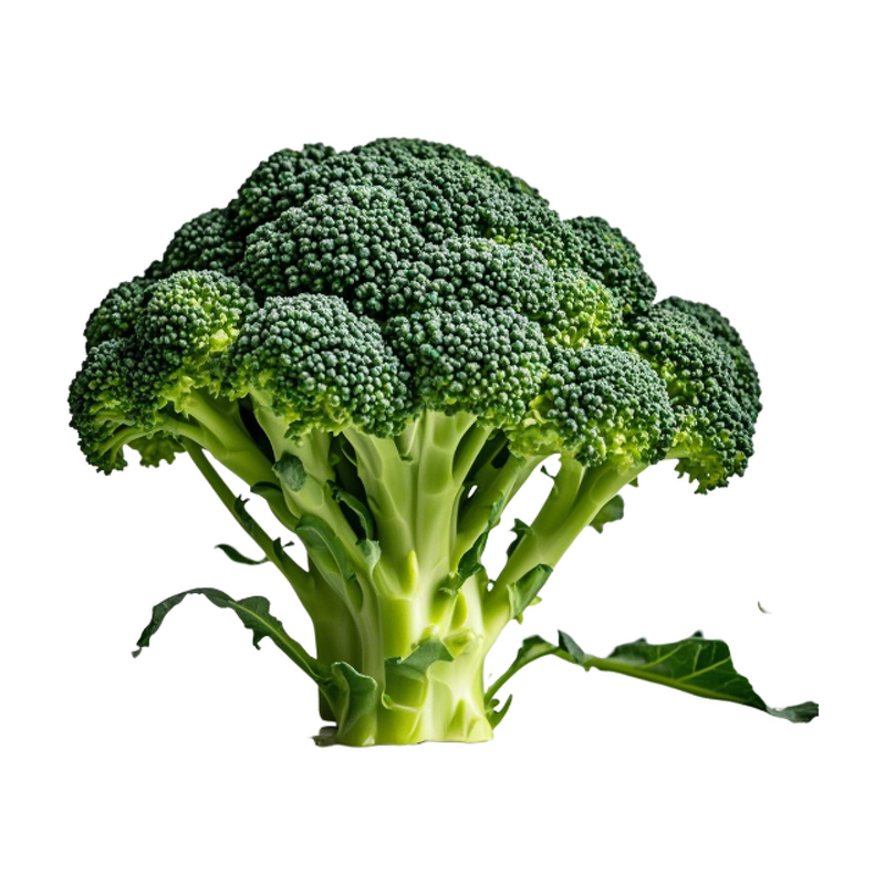 Sulforaphane - Manufacturer - Organic High-purity Extract Powder Plant Direct