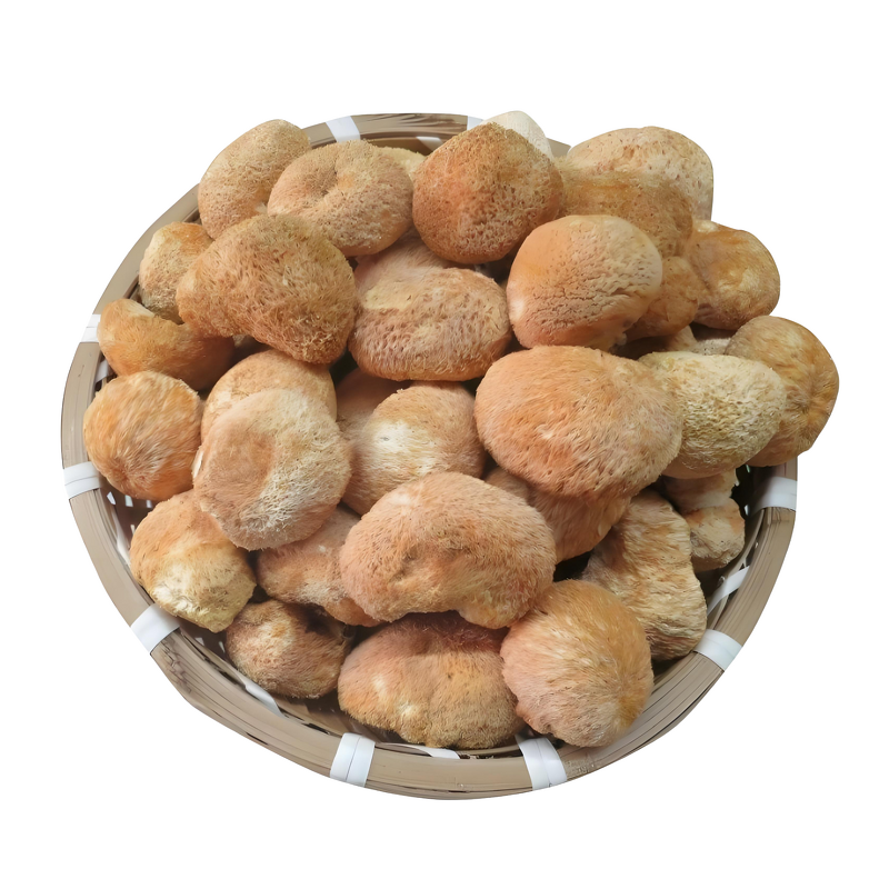 Lion's Mane Extract - Manufacturer - 10:1-100:1 Hericium Erinaceus Polysaccharide