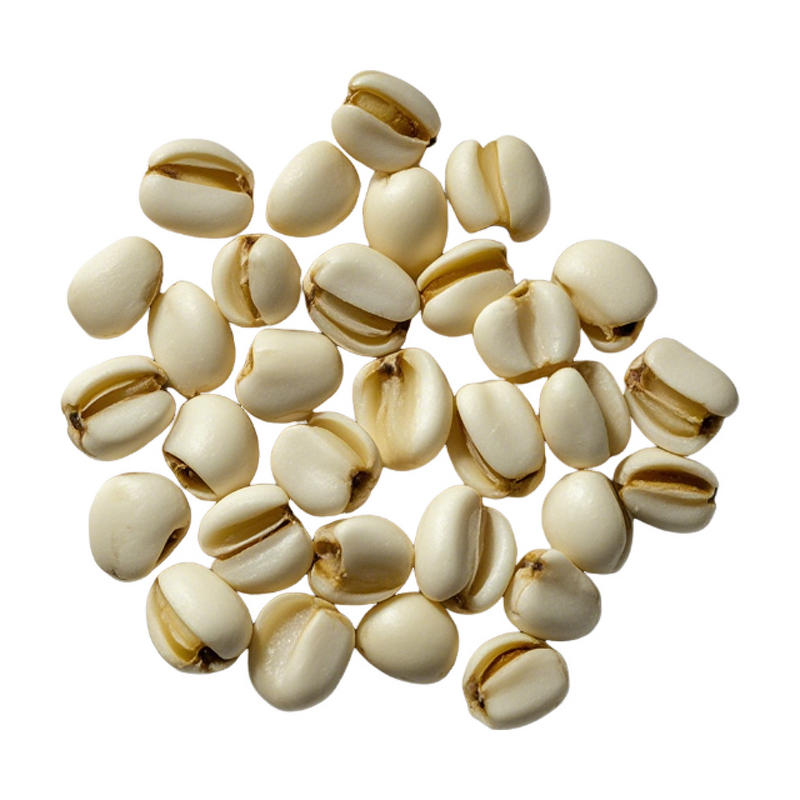 Coix Extract - Manufacturer - Organic Seed Extract Powder Health Supplement