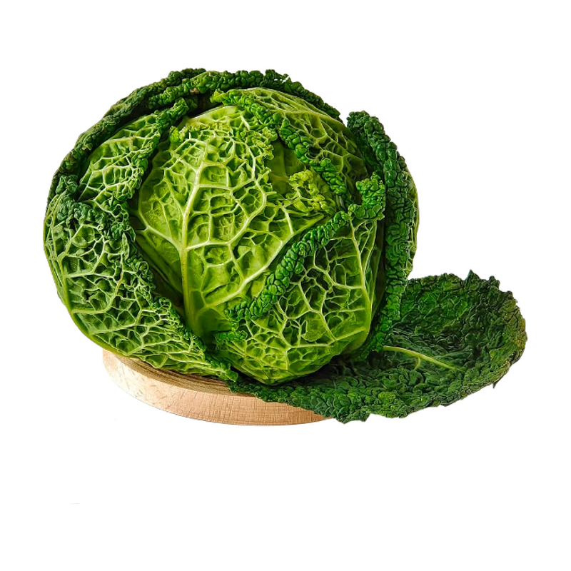 Kale Powder - Manufacturer - Organic Vegetable Extract Healthy Natural Pure