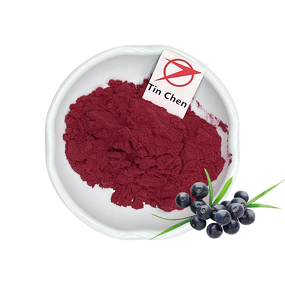 Acai Powder - Manufacturer - Organic Natural Berry Juice Concentrate Bulk