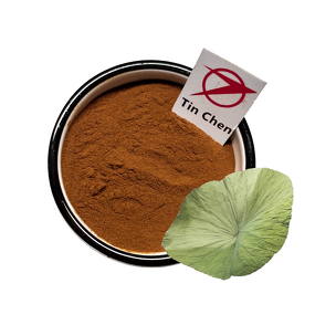 Lotus Leaf Extract - Manufacturer - 1%-98% Nuciferine CAS 475-83-2 Weight Loss