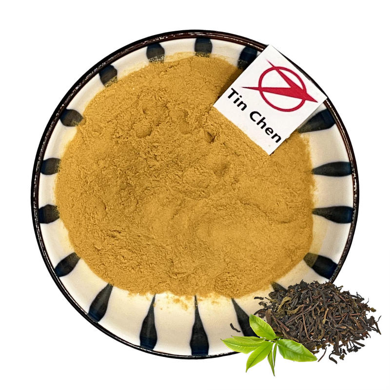 Green Tea Extract - Manufacturer - 50%-98% Polyphenols Matcha Powder Bulk