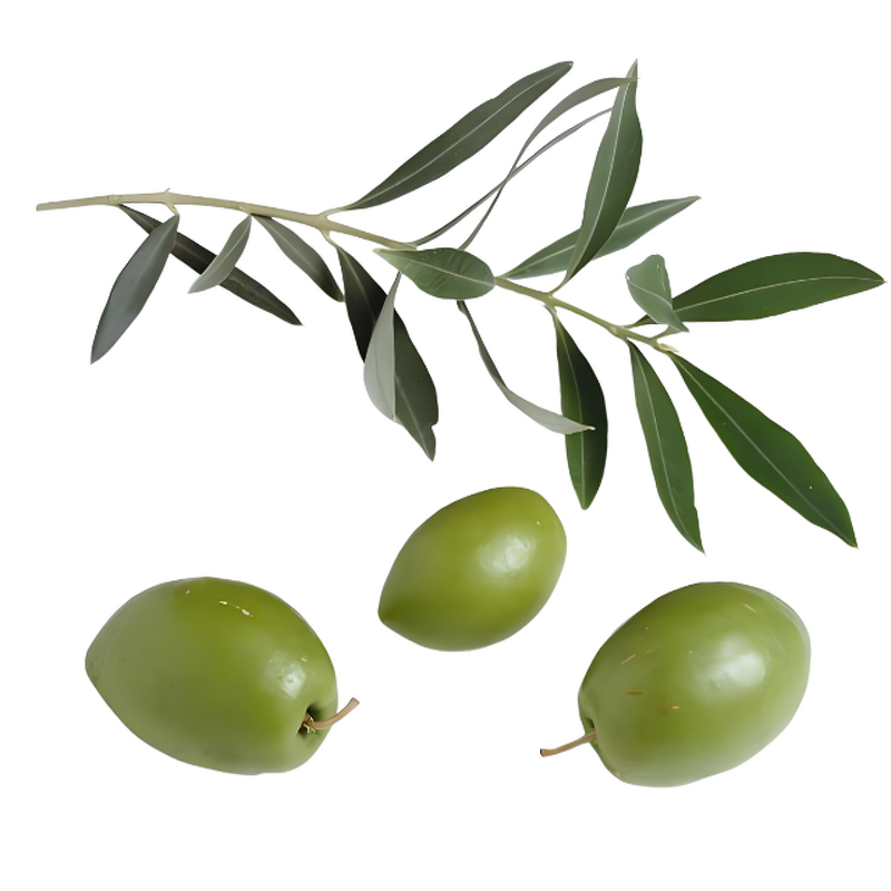 Hydroxytyrosol - Manufacturer - 10%-50% Olive Leaf Extract Fermented Powder