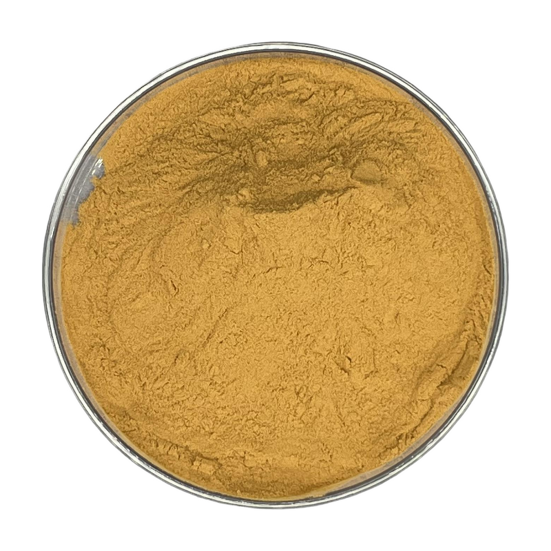 Catechin Powder - Manufacturer - Natural Green Tea Extract Antioxidant Best Price