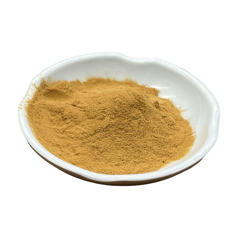 Lion's Mane Extract - Manufacturer - 50:1 Organic Hericium Erinaceus Polysaccharide