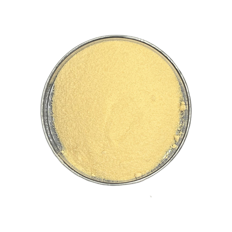 Hops Extract - Manufacturer - 2%-98% Xanthohumol Natural Healthcare Supplement