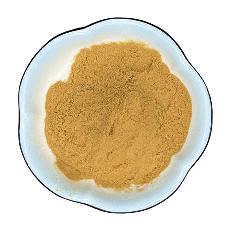 Lentil Extract - Manufacturer - 10:1-50:1 White Lentil Organic Natural Multi-spec