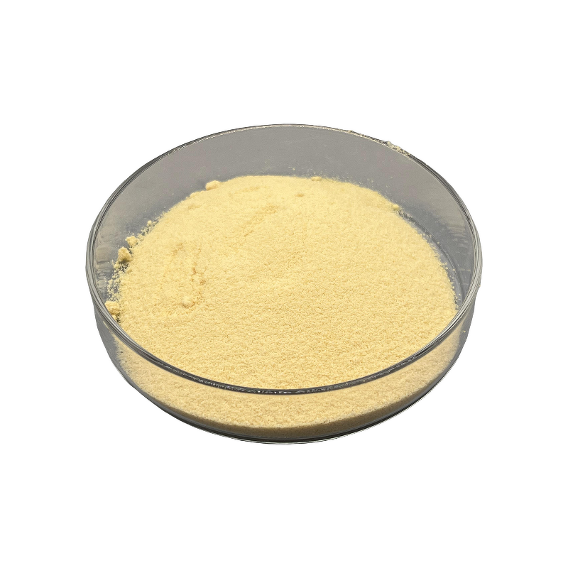 Hops Extract - Manufacturer - 2%-98% Xanthohumol Natural Healthcare Supplement