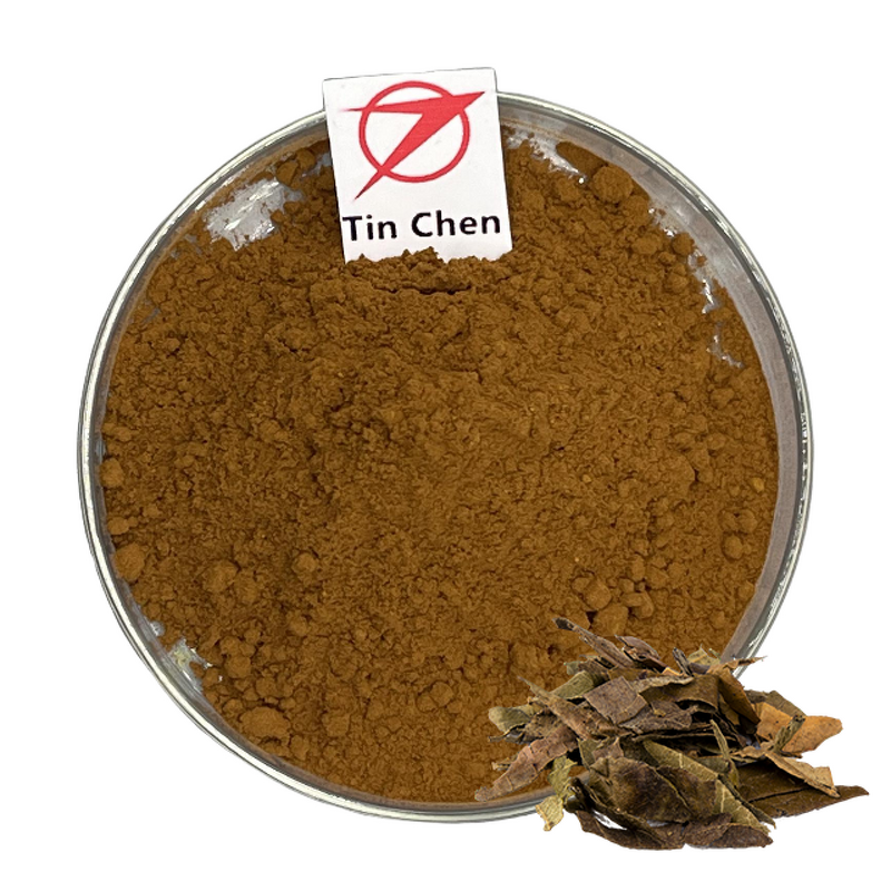 Loquat Extract - Manufacturer - Leaf Extract Ursolic Acid Powder Wholesale