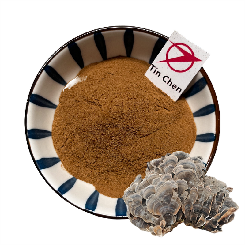 Yunzhi Powder - Manufacturer - 10%-80% Polysaccharide Turkey Tail Mushroom