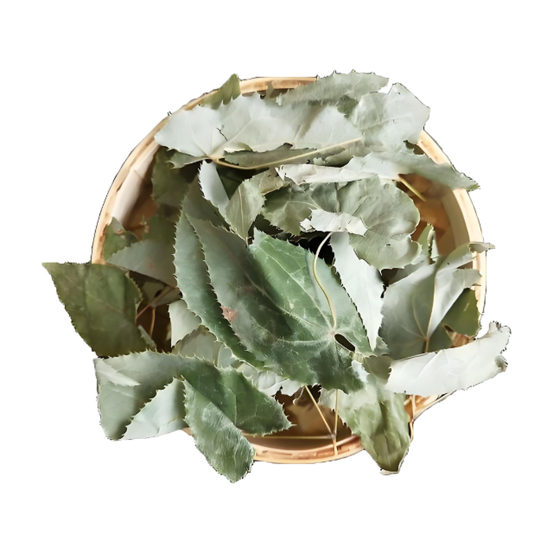 Epimedium Extract - Manufacturer - 10%-98% Icariin CAS 489-32-7 Herbal Extract