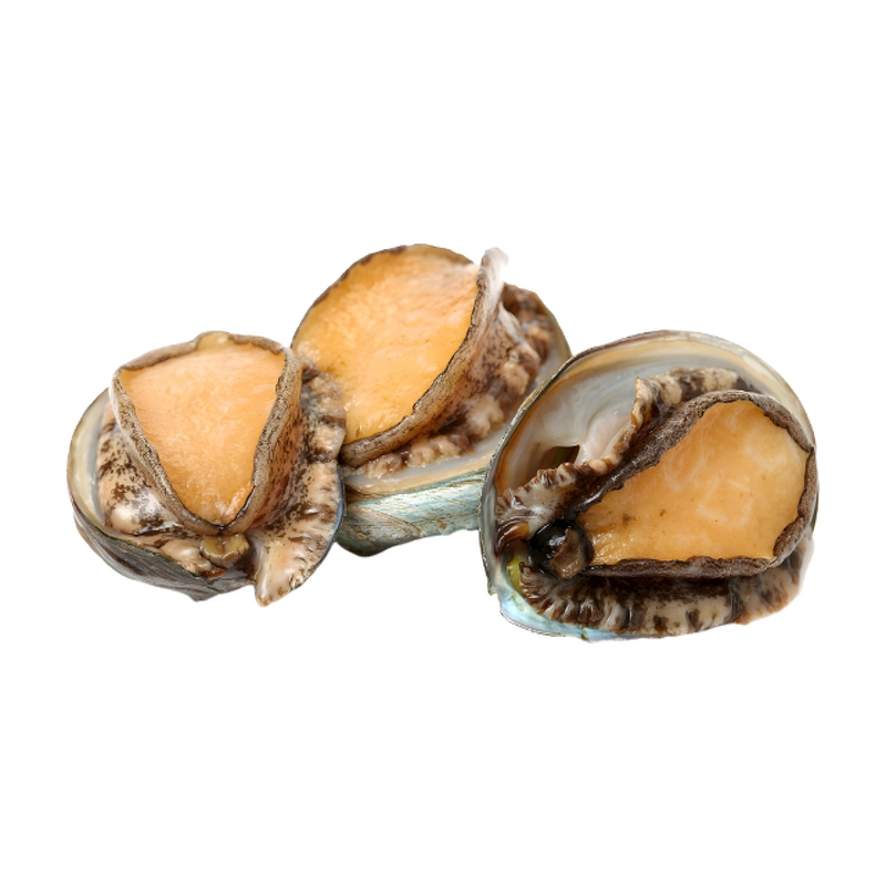 Abalone Peptide - Manufacturer - 1000DA High Nutrition Collagen Extract Bulk