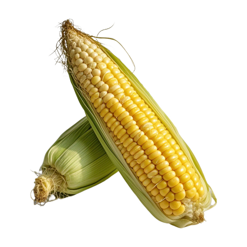Corn Extract - Manufacturer - Natural Bulk Pure Corn Peptide Powder Plant Supply