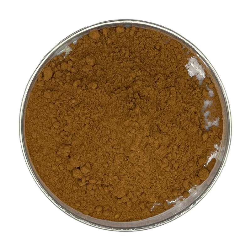 Tribulus Extract - Manufacturer - Natural Fruit Extract Powder for Fitness Bulk