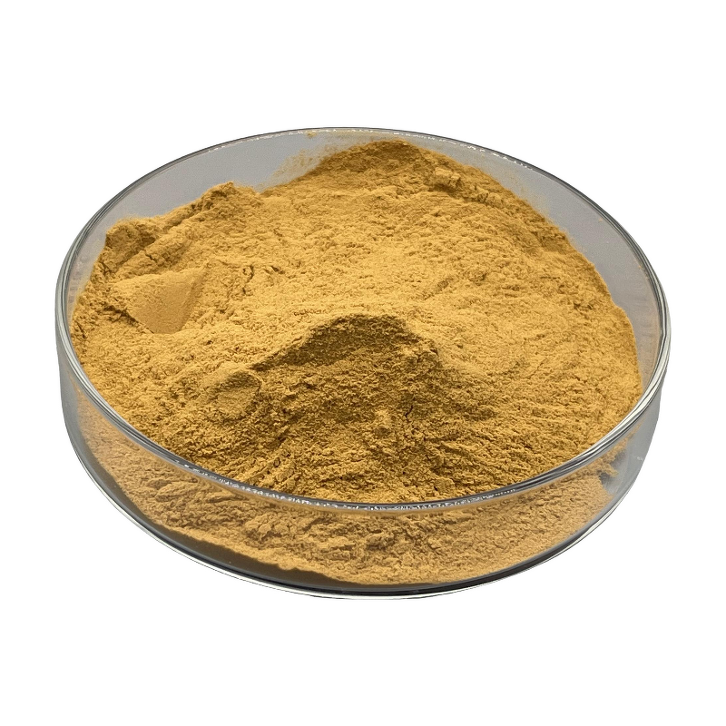 Catechin Powder - Manufacturer - Natural Green Tea Extract Antioxidant Best Price