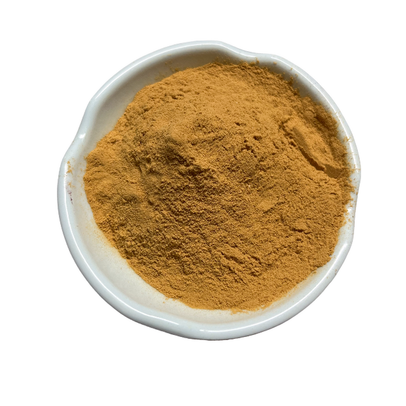 Cucumber Extract - Manufacturer - 10:1/30:1/100:1 Water-soluble Plant Extract