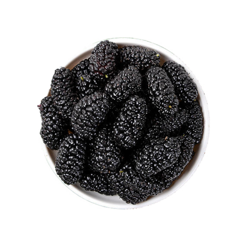 Mulberry Extract - Manufacturer - 25% Anthocyanins Fruit Extract Powder Bulk